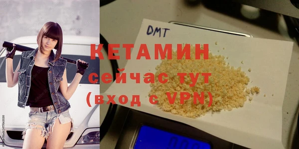индика Богородицк