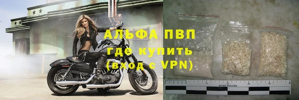 индика Богородицк