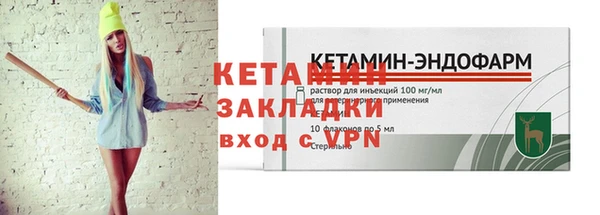 индика Богородицк