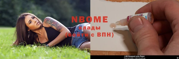 индика Богородицк