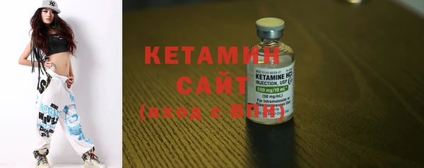 индика Богородицк
