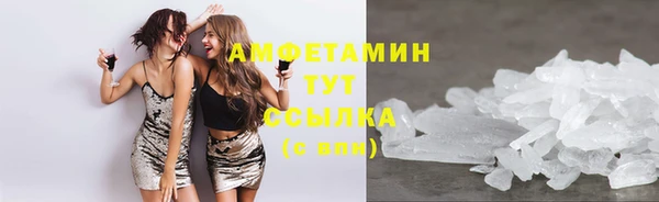 индика Богородицк