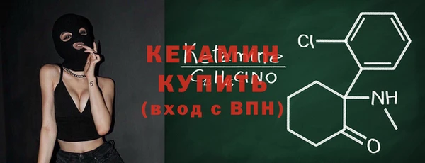 индика Богородицк