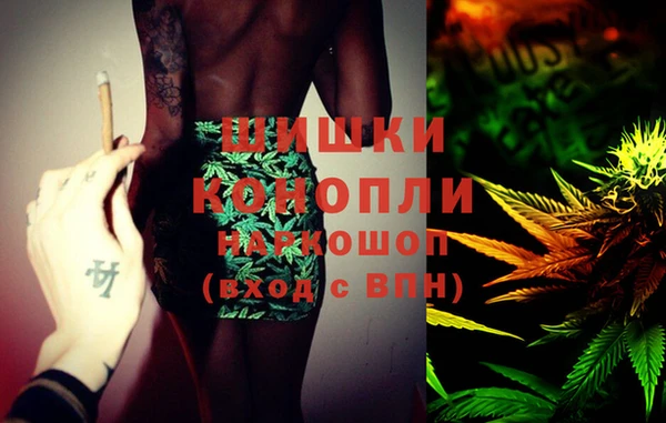 индика Богородицк