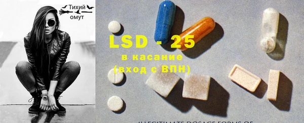 индика Богородицк