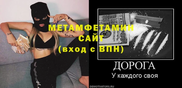 индика Богородицк