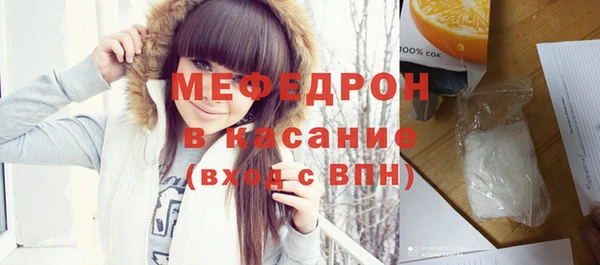 индика Богородицк