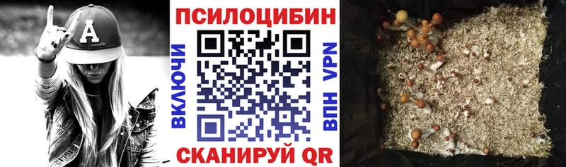 hydra зеркало  Гороховец  Галлюциногенные грибы мухоморы  купить наркотик 